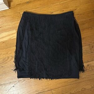 Zara fringe skirt